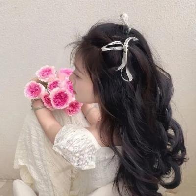 手遮天 海报
